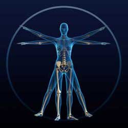 Little to Learn about Chiropractic Clinic